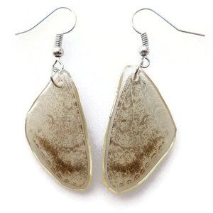Pendientes de alas beige de mariposa real, resina de alas de mariposa