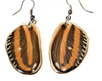 Tiger heliconian wing earrings: ethically sourced resin coated jewelry