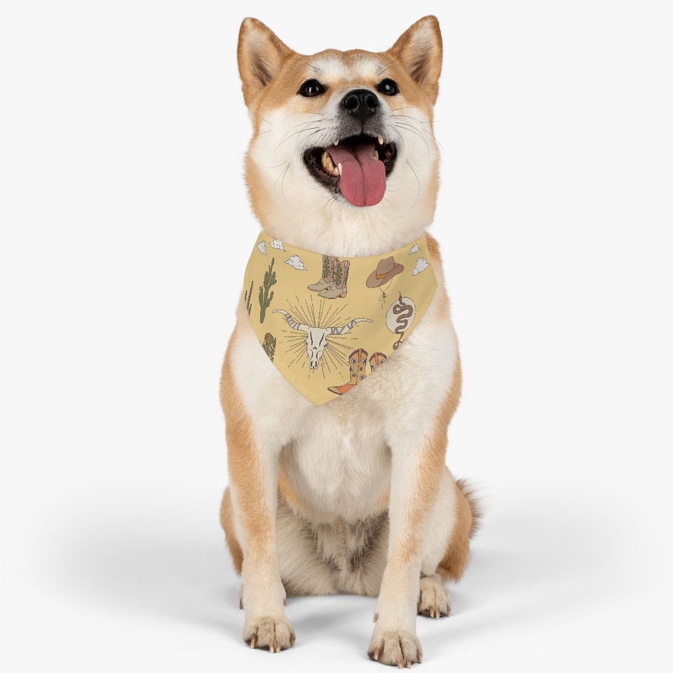 Discover Desert Pet Bandana Collar