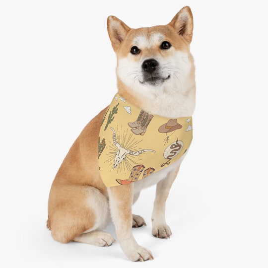 Disover Desert Pet Bandana Collar