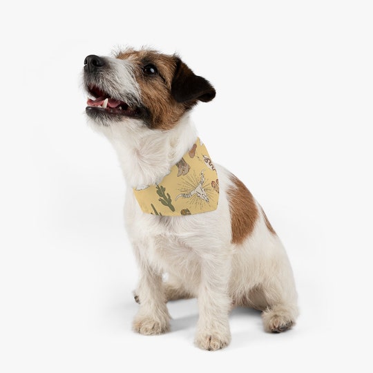 Disover Desert Pet Bandana Collar