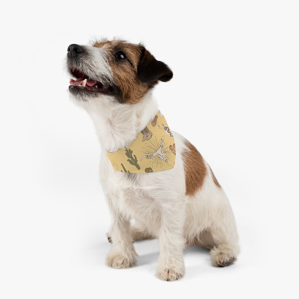 Discover Desert Pet Bandana Collar