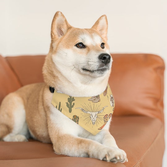 Disover Desert Pet Bandana Collar