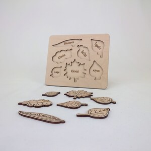 Leafs puzzle for kids teaching