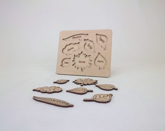 Leafs puzzle for kids teaching