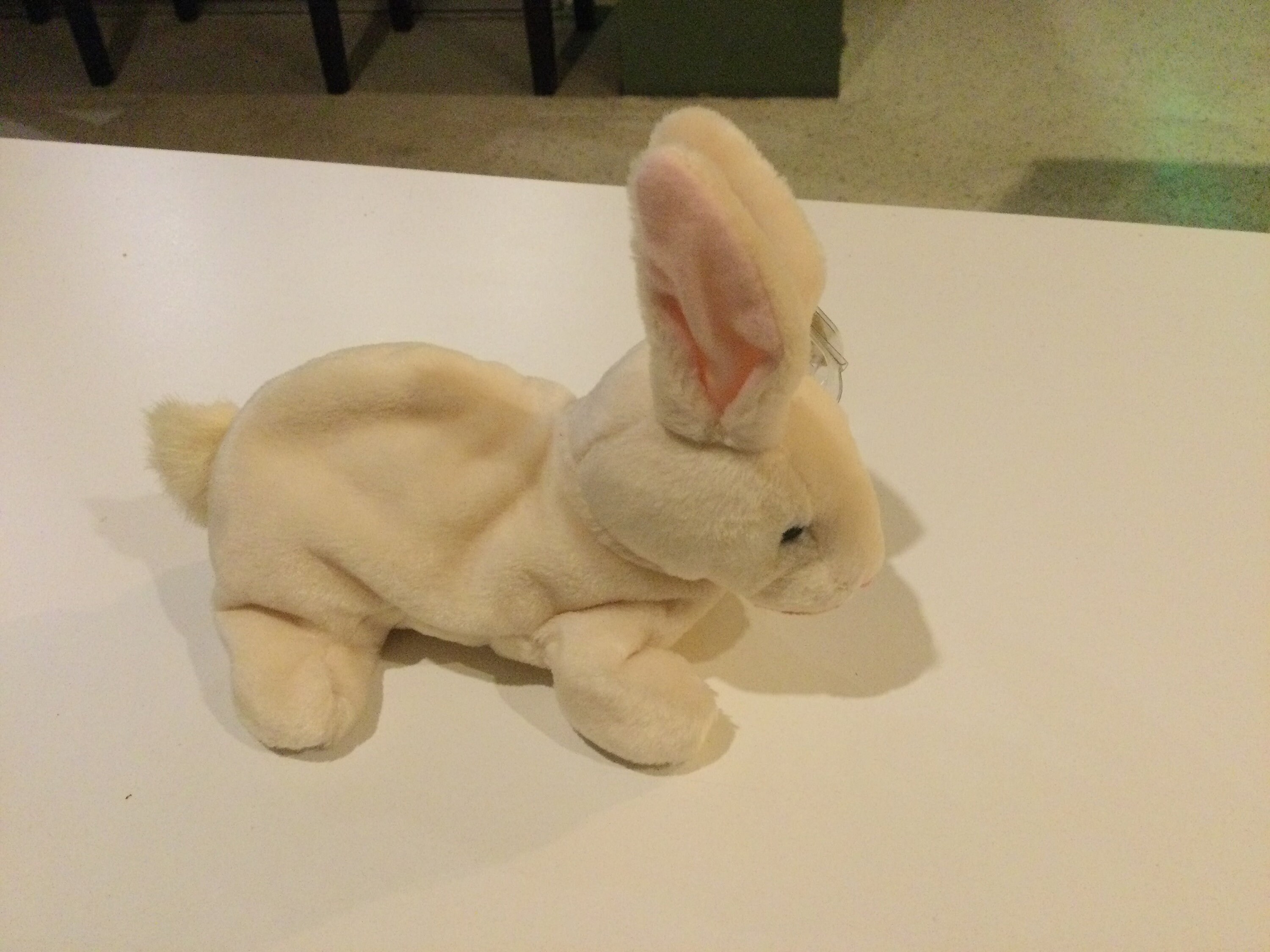 Beanie Baby Nibbler 1998 Etsy