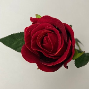 Red Velvet Single Stem Rose Bud