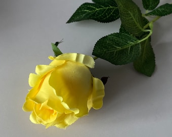 Yellow Globe Rose Bud Single Stem.