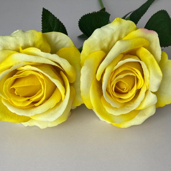 Bright Yellow Soft Touch Rose