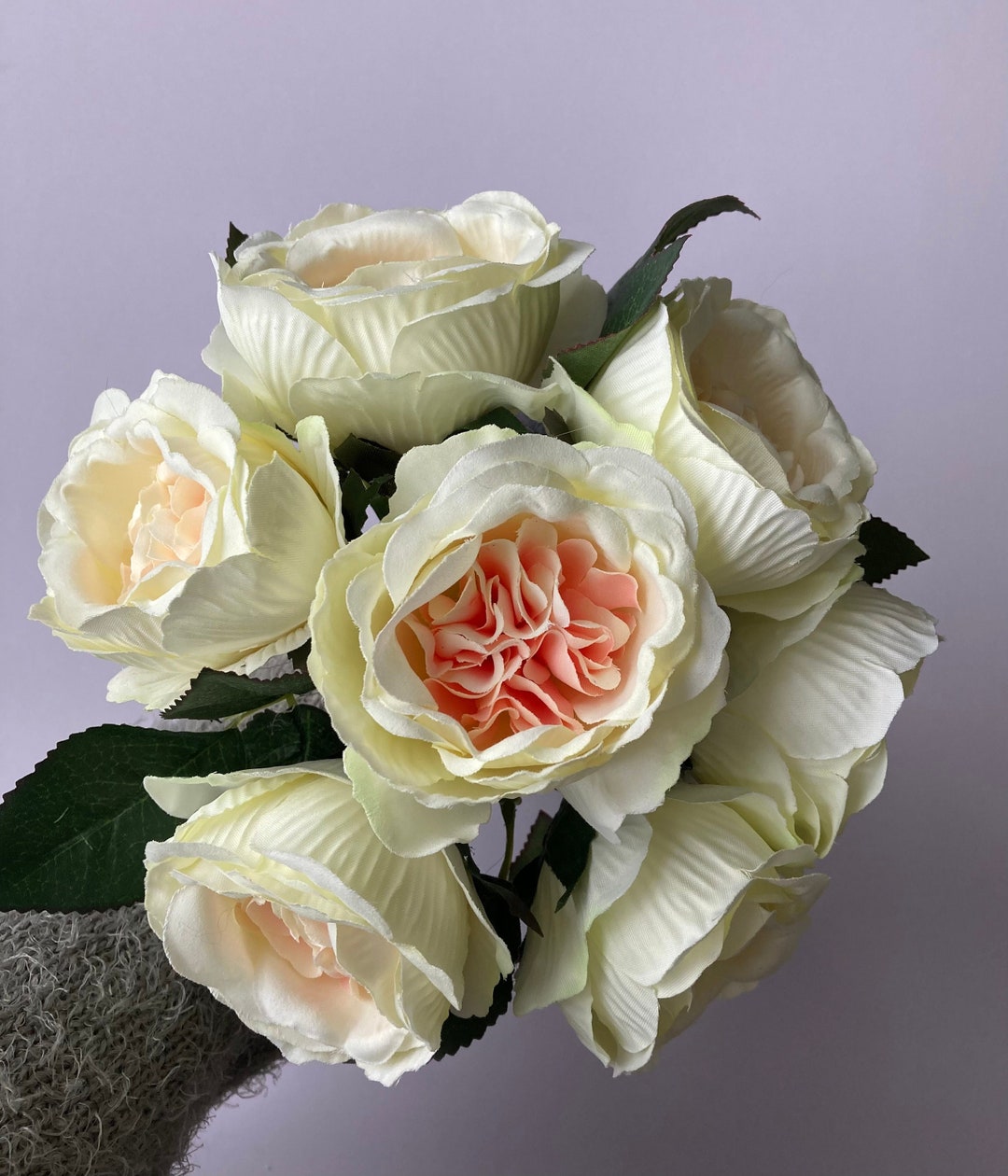 7 Cabbage Rose Pink Centre Bunch - Etsy
