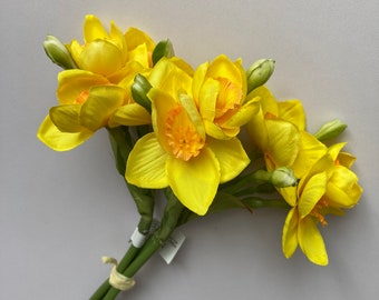 Small Yellow Daffodils Bunch