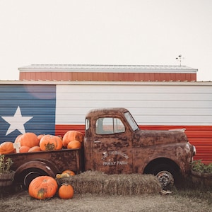 May include: An antique, rusty brown pickup truck filled with orange pumpkins sits in front of a building painted with the Texas flag. The truck bed is overflowing with pumpkins of various sizes, suggesting a fall harvest theme.