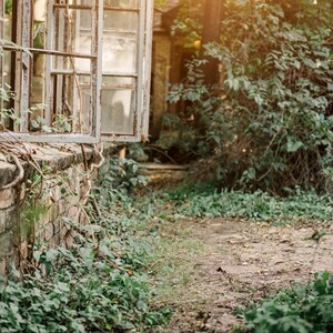 Gewächshaus Weg digitaler Hintergrund | Rustikaler Garten Fotografie | Outdoor Nature Komposite Prop für Neugeborene, Portraits & Branding