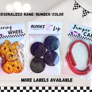 Girl Race Car Birthday Party Favors - Girl Fast One Birthday- Two Fast - 2 Fast - Need Four Speed - Goody Bags - Kids treat Bags