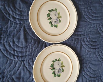 Tudor White York Rose Salad Plate Castleton China MCM Vintage 1950-1967 Gold USA