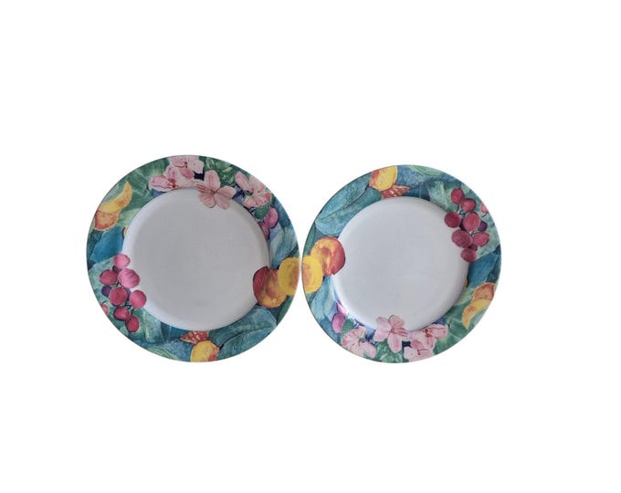 Vintage Mikasa Maxima Exotic Gardens Dinner Plates 10 1/2 Spring Picnic Set of 2
