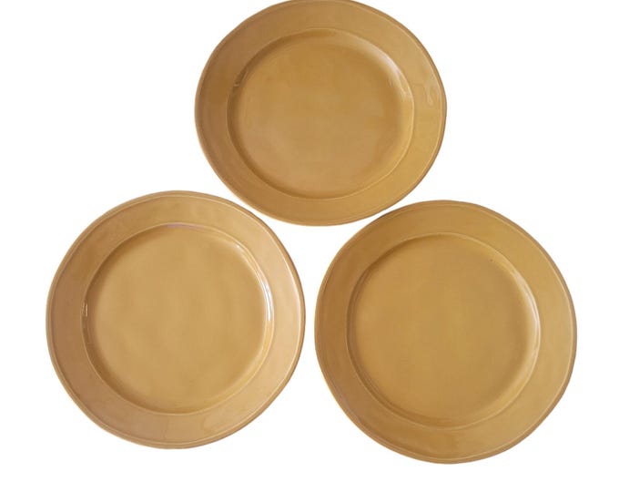 Euro Ceramic Portugal SAFARI Burnt Orange Stoneware Salad Plates 11" Set 3
