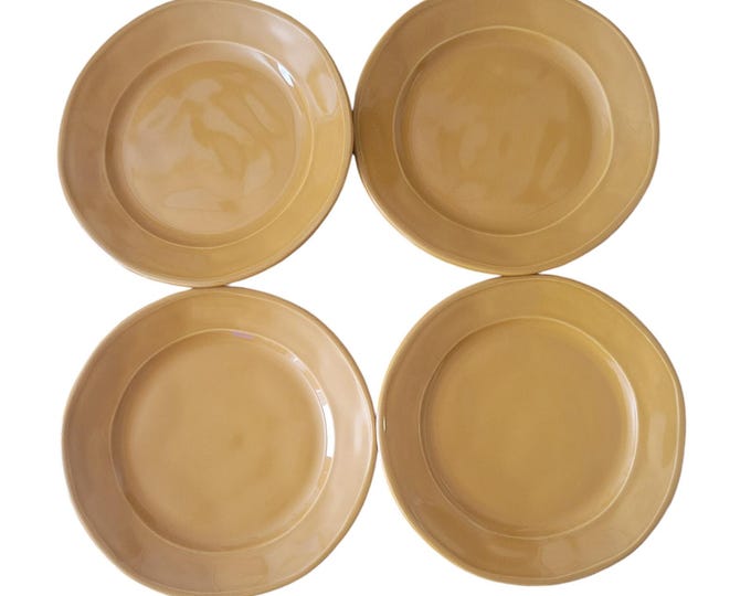 Euro Ceramic Portugal SAFARI Burnt-Orange Stoneware Salad Plates 9 in Boho Set 4