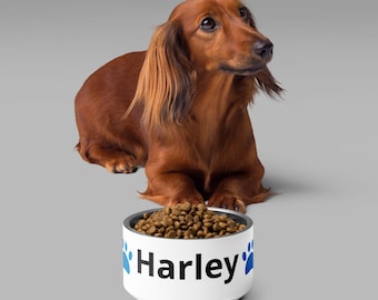 Customizable Dog Bowl with name and color – Double Wall Stainless Steel