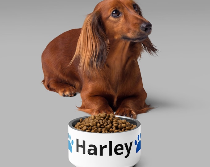 Customizable Dog Bowl with name and color – Double Wall Stainless Steel