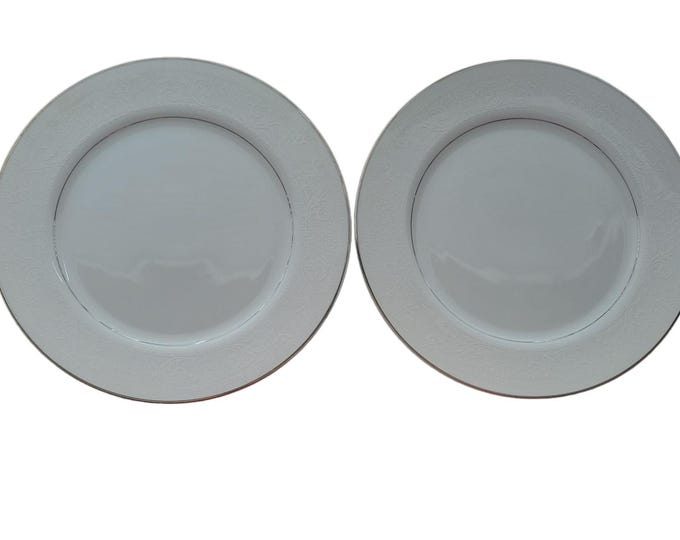 Vintage Lace Bouquet Salem China Company Etched Dinner Plate Platinum Trim Set 2