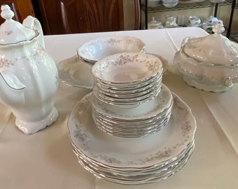 Vintage Johann Haviland “Floral Spendor” Dinner ware