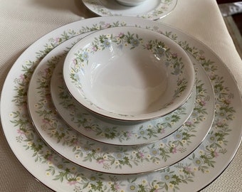 Vintage Johann Haviland “Forever Spring” China