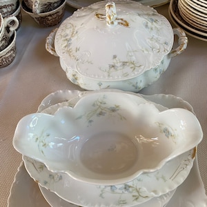 Antique Haviland &Co.-Limoges Pale Blue Flowered China