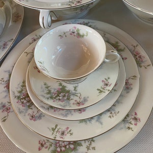 Theodore Haviland New York “Apple Blossom” China