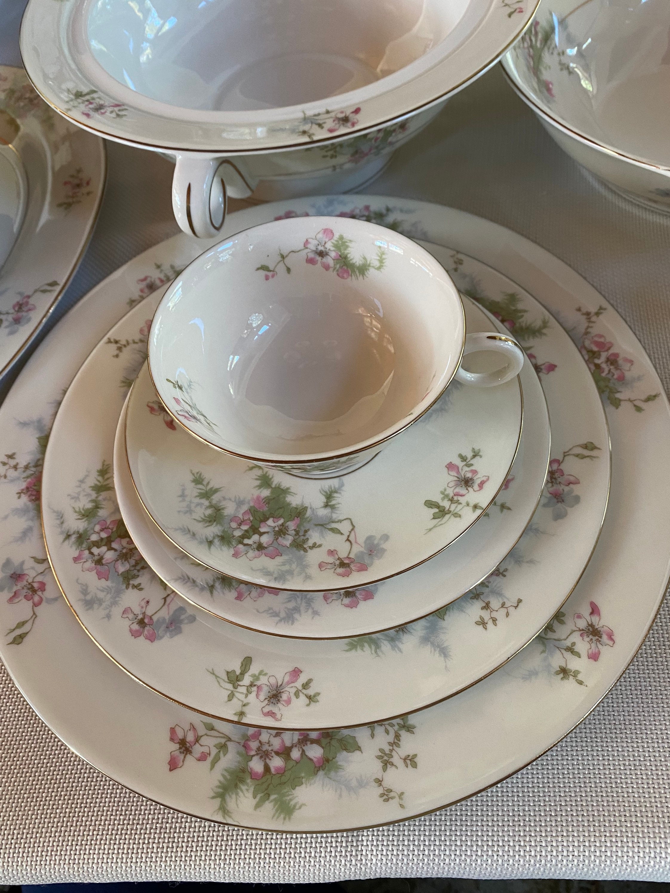 Theodore Haviland New York “apple Blossom” China - Etsy