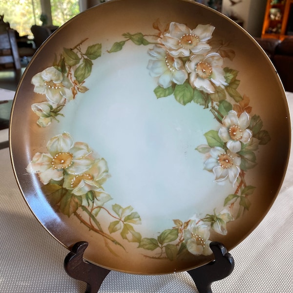 Antique MZ Austria Porcelain Floral Plate