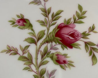 Johann Haviland “Moss Rose” Fine China