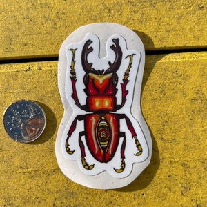 Weird Eye Beetle Sticker, Laptop Sticker, Cryptic decorations for cryptids, Waterbottle sticker, Trippy stickers, Original Art