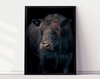 Black Bull | Farm Print | Digital Print | Black Cow | Bull Wall Art | Animal Artwork | Animal Photography | Angus Bull