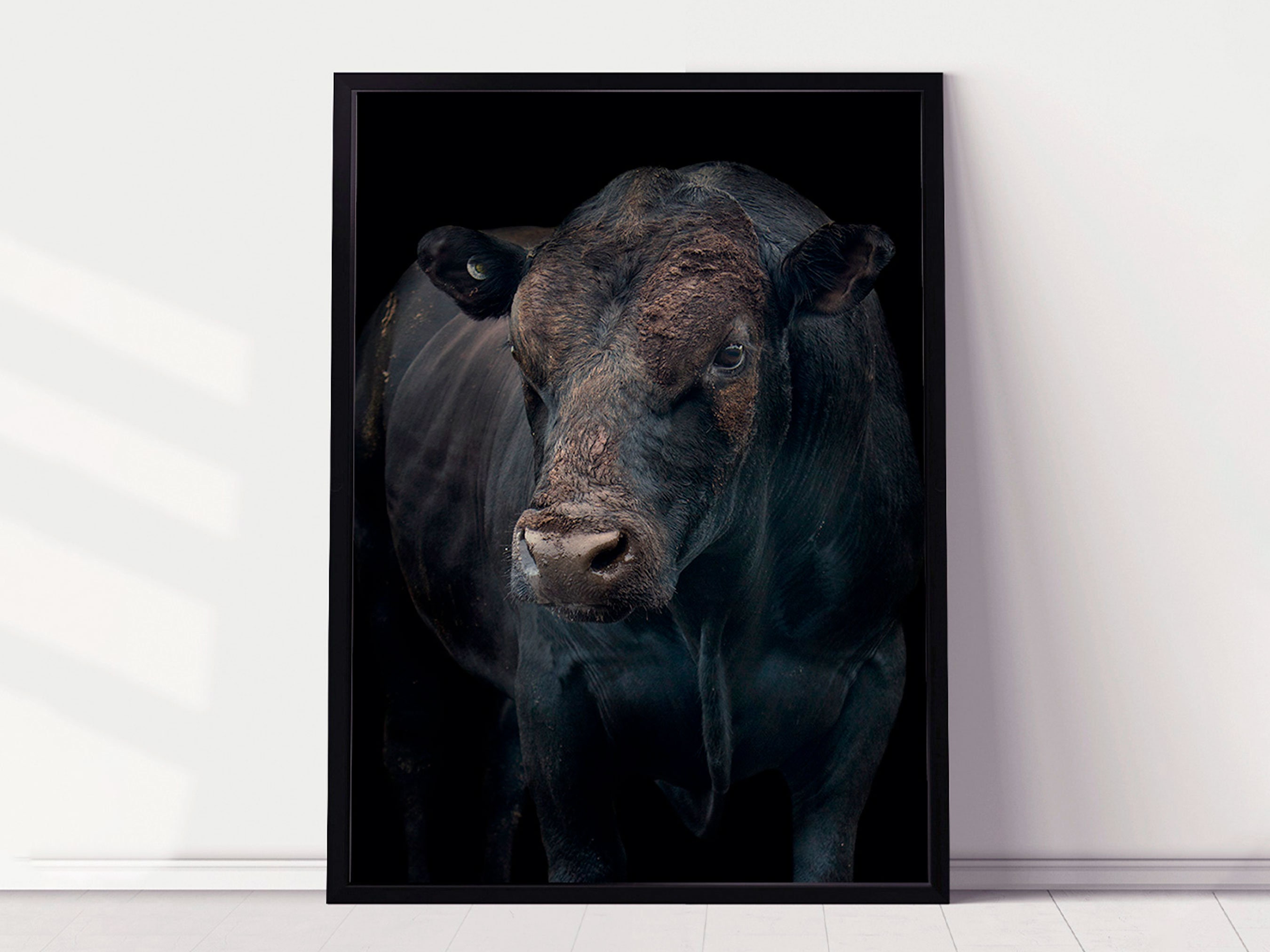 Hereford Ganado Americano Hereford Asociación Carne Estados Unidos