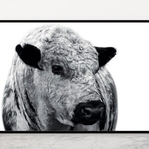 Zwart-wit Bull | Farm Print | Digitale print | Zwart-witte koeien | Kunst aan de muur | Dierenkunst | Dierenfotografie | Specklepark