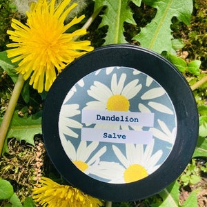 Dandelion Salve