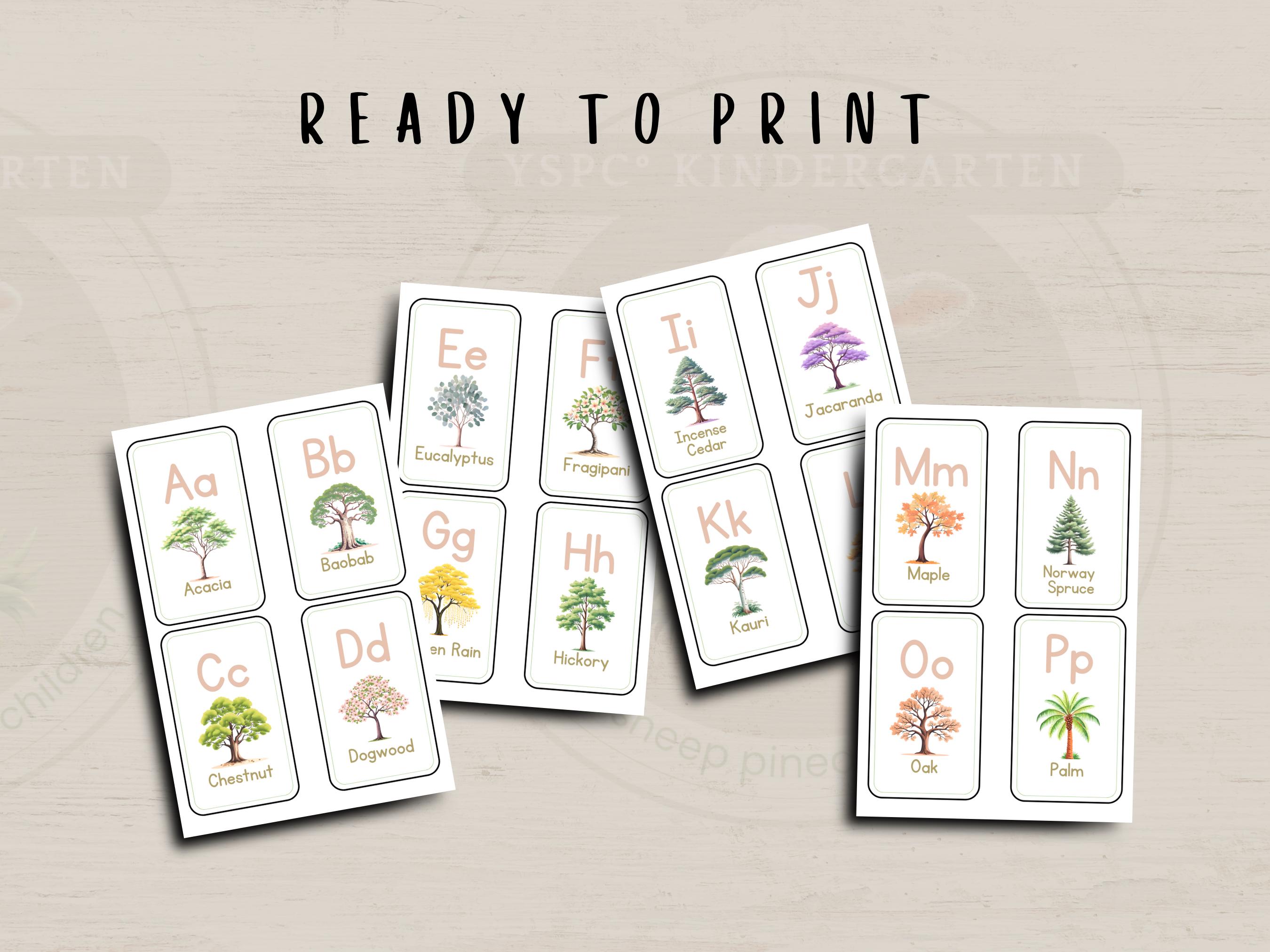 Tree Alphabet Flashcards | A to Z Printable Cards for Kids | ABC ...