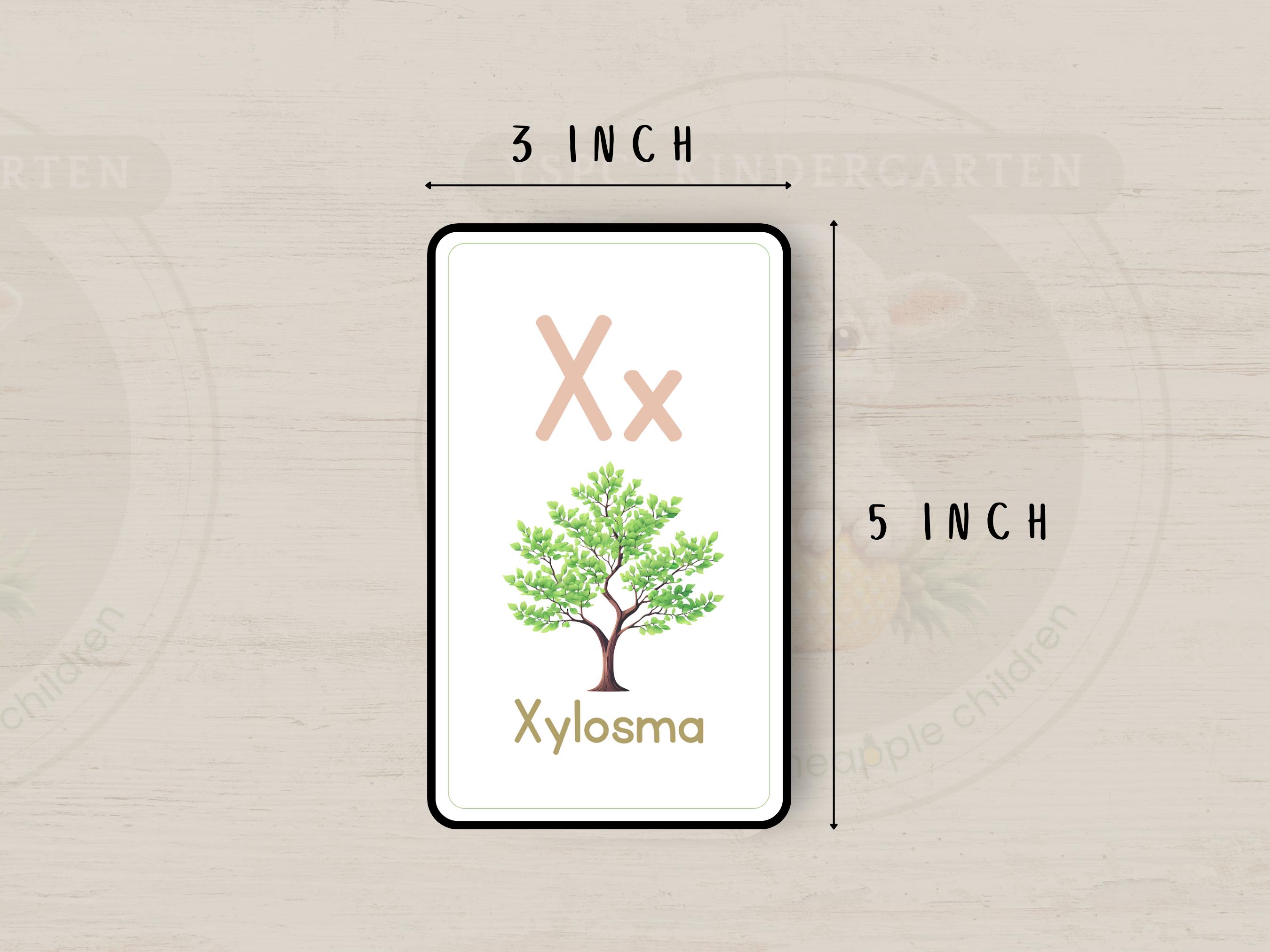 Tree Alphabet Flashcards | A to Z Printable Cards for Kids | ABC ...
