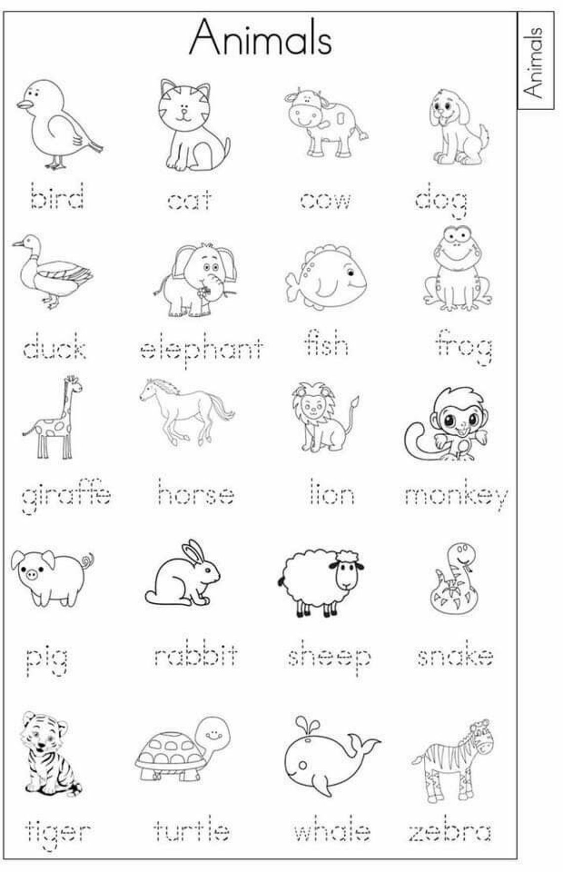 Trace Words Worksheet Etsy Trace words worksheet etsy