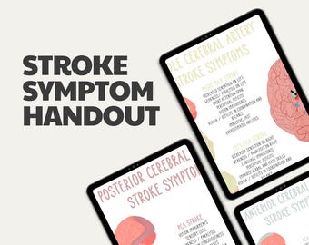 Stroke Symptoms by Artery Territory | Neuro Cheat Sheet | PT • OT • Nursing | Digital Download