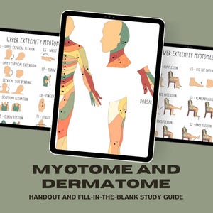 Myotomes & Dermatomes Reference Guide | Neuro Exam | PT • OT • PTA • Students | Digital Download