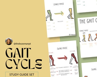 Gait Cycle | Physical Therapy | Occupational Therapy | Study Guide | NPTE | Anatomy Physiology | Digital File