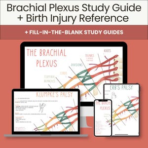 May include: A digital study guide set titled Brachial Plexus Study Guide + Birth Injury Reference + Fill-in-the-blank Study Guides displayed on a computer monitor, a tablet, and a smartphone, featuring anatomical diagrams of nerves and text.