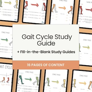 May include: A Gait Cycle Study Guide with fill-in-the-blank study guides featuring 16 pages of content. The educational material includes diagrams of human leg movements during the stance and swing phases, with text labels describing muscle activity.