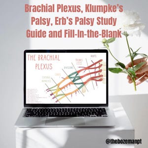 Brachial Plexus Diagram, Erb&#39;s Palsy, Klumpke&#39;s Palsy, Study Guide - PT, OT, Med Student, Neurology, Nerves, Med School, Physical Therapy