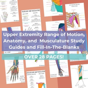 Upper Extremity Anatomy Study Guide | Digital Download | Shoulder, Elbow, Hand, Wrist, Thumb, Fingers | PT, OT, MD | Range of Motion, Muscle