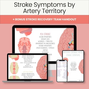 Strokesymtom per artärområde | Neurologiskt fusklapp | Fysioterapeut • Ögonvård • Omvårdnad | Digital nedladdning