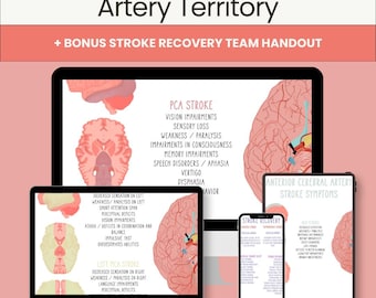 Stroke Symptoms by Artery Territory | Neuro Cheat Sheet | PT • OT • Nursing | Digital Download