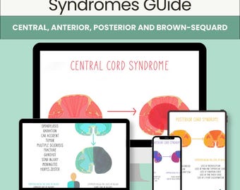 Spinal Cord Syndromes | Neuro Rehab PDF | Brown‑Sequard, Anterior, Posterior & Central Cord Cheat Sheet